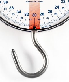 Standard Angling Flag Scale 4000 Series England